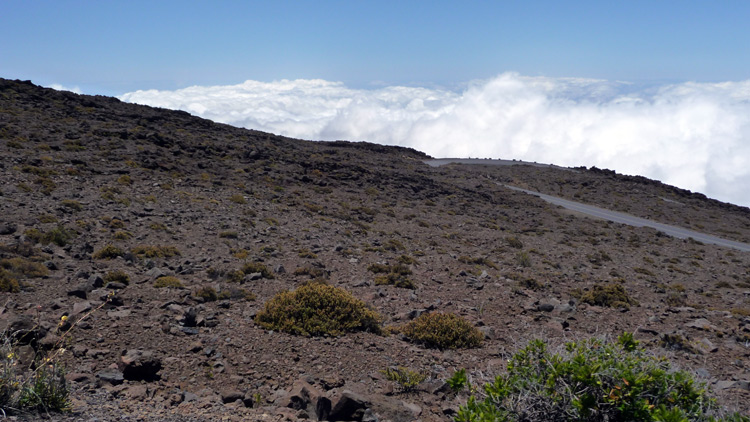 hawaiivolcano